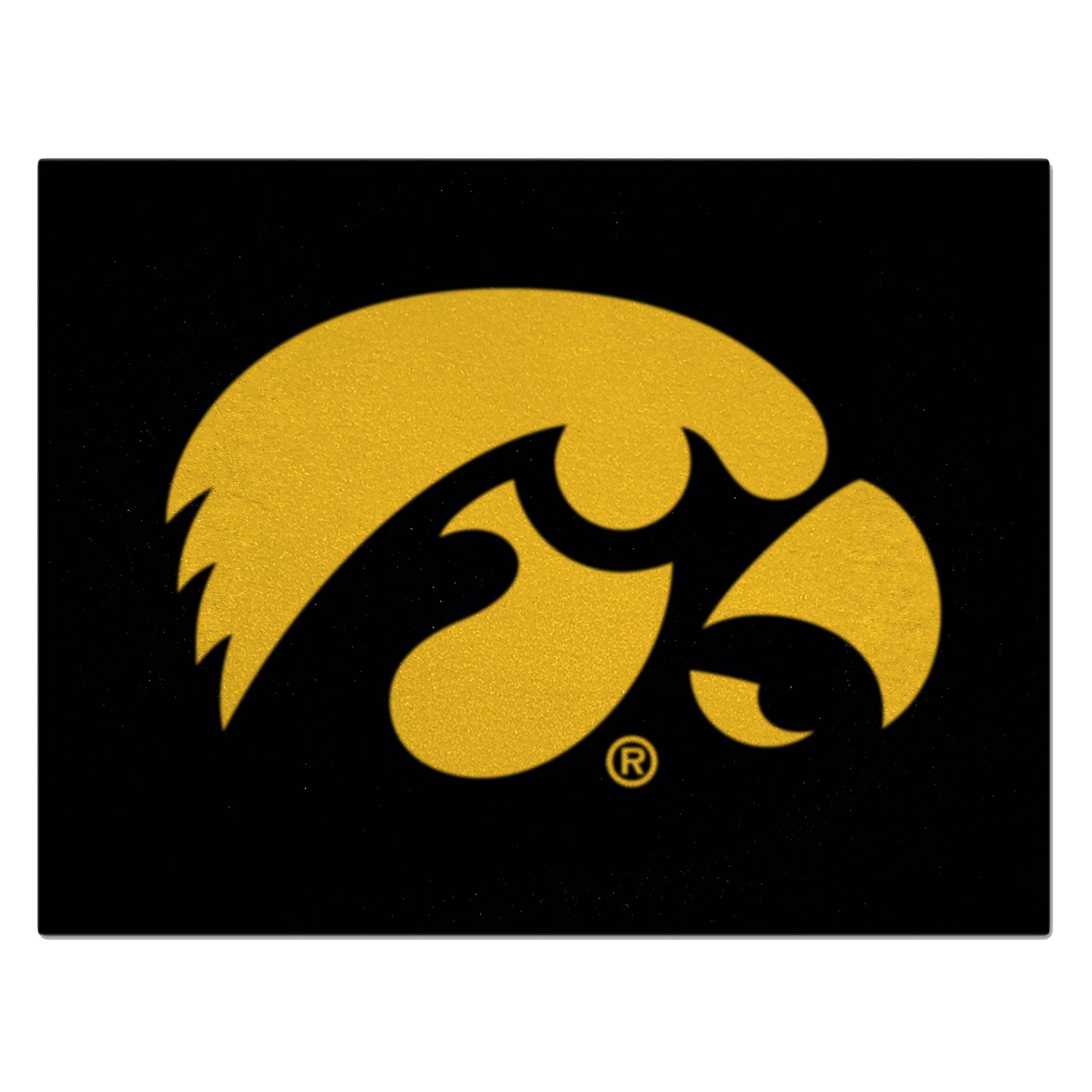 University of Iowa All-Star Mat