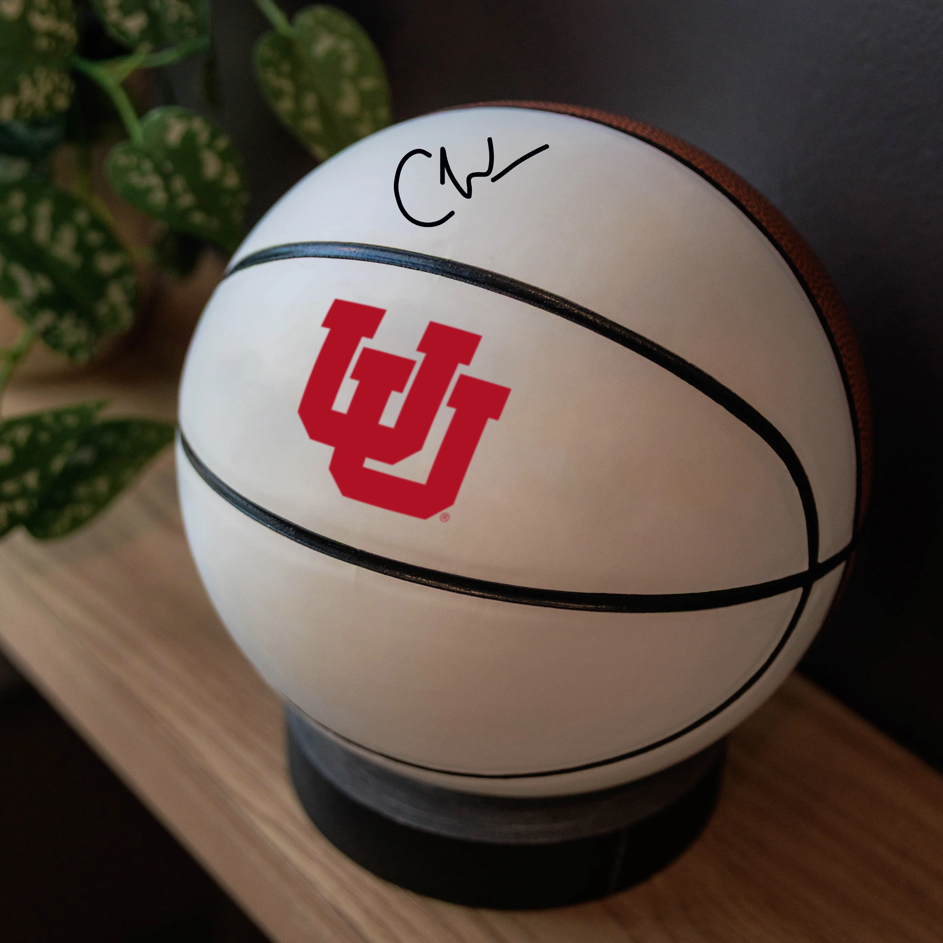Utah Mini Size Autograph Basketball - Image 4