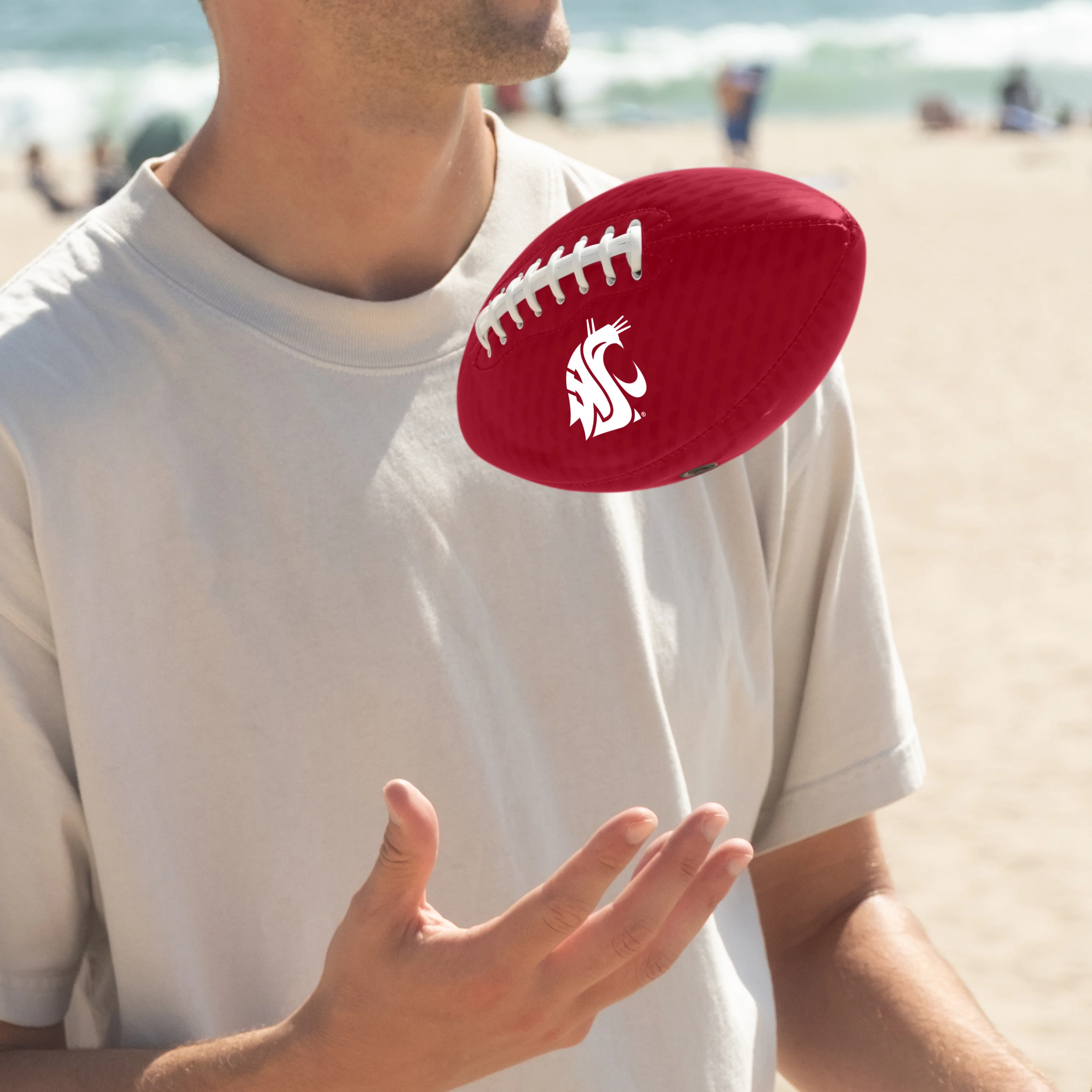 Washington State Carbon Fiber Mini SizeGlossy Football - Image 2